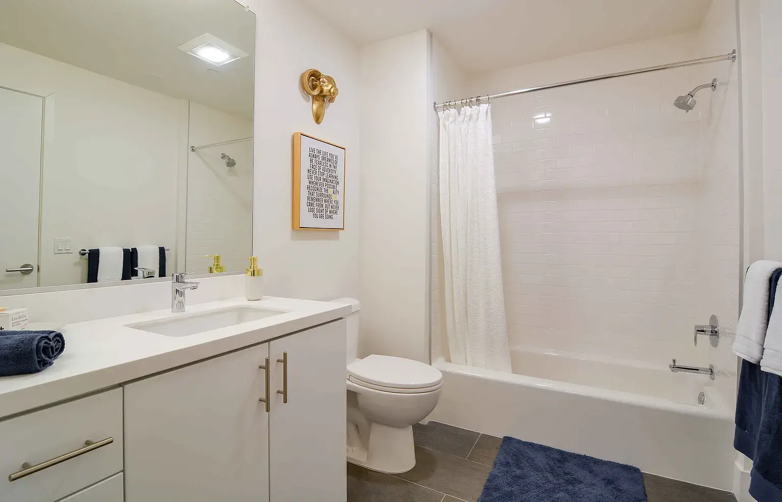 Bayview Apartments with Unique Layouts and Top Amenities