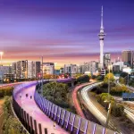 BCG sets great store by real estate negotiations